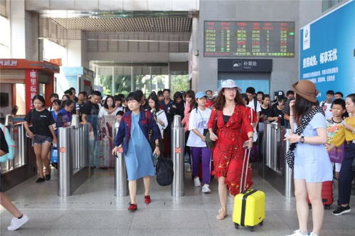 海口五个临时旅游服务台高效运作，累计服务近7万人次彰显旅游服务新高度